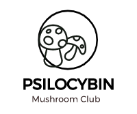 Magic Mushroom Shop